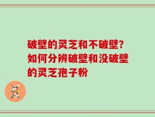 破壁的灵芝和不破壁？如何分辨破壁和没破壁的灵芝孢子粉