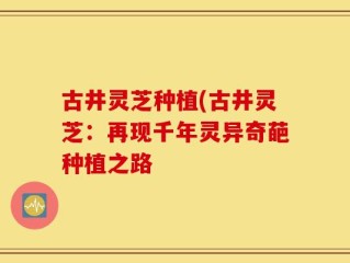 古井灵芝种植(古井灵芝：再现千年灵异奇葩种植之路