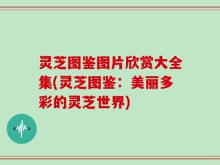 灵芝图鉴图片欣赏大全集(灵芝图鉴：美丽多彩的灵芝世界)