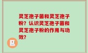 灵芝孢子菌和灵芝孢子粉？认识灵芝孢子菌和灵芝孢子粉的作用与功效？