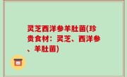灵芝西洋参羊肚菌(珍贵食材：灵芝、西洋参、羊肚菌)