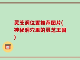 灵芝洞位置推荐图片(神秘洞穴里的灵芝王国)