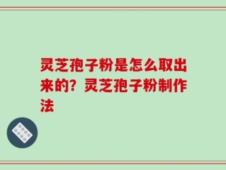 灵芝孢子粉是怎么取出来的？灵芝孢子粉制作法