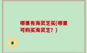 哪里有海灵芝买(哪里可购买海灵芝？)