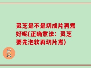 灵芝是不是切成片再煮好呢(正确煮法：灵芝要先泡软再切片煮)