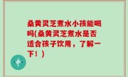 桑黄灵芝煮水小孩能喝吗(桑黄灵芝煮水是否适合孩子饮用，了解一下！)