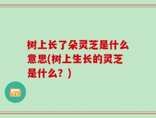 树上长了朵灵芝是什么意思(树上生长的灵芝是什么？)