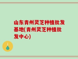 山东青州灵芝种植批发基地(青州灵芝种植批发中心)