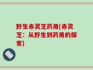 野生赤灵芝药用(赤灵芝：从野生到药用的探索)