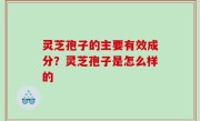 灵芝孢子的主要有效成分？灵芝孢子是怎么样的