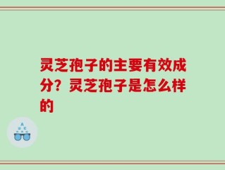 灵芝孢子的主要有效成分？灵芝孢子是怎么样的