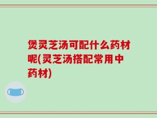 煲灵芝汤可配什么药材呢(灵芝汤搭配常用中药材)