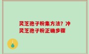 灵芝孢子粉集方法？冲灵芝孢子粉正确步骤