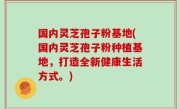 国内灵芝孢子粉基地(国内灵芝孢子粉种植基地，打造全新健康生活方式。)