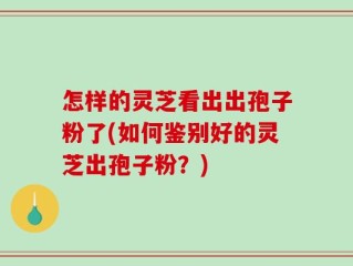 怎样的灵芝看出出孢子粉了(如何鉴别好的灵芝出孢子粉？)
