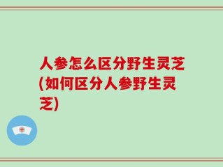 人参怎么区分野生灵芝(如何区分人参野生灵芝)