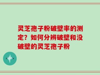 灵芝孢子粉破壁率的测定？如何分辨破壁和没破壁的灵芝孢子粉