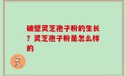 破壁灵芝孢子粉的生长？灵芝孢子粉是怎么样的