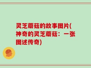 灵芝蘑菇的故事图片(神奇的灵芝蘑菇：一张图述传奇)