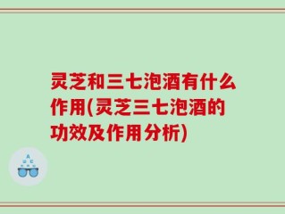 灵芝和三七泡酒有什么作用(灵芝三七泡酒的功效及作用分析)