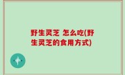 野生灵芝 怎么吃(野生灵芝的食用方式)