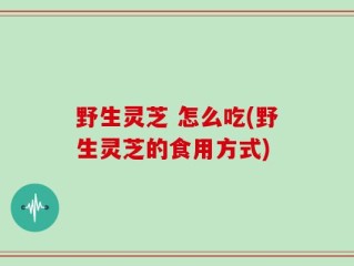 野生灵芝 怎么吃(野生灵芝的食用方式)