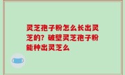 灵芝孢子粉怎么长出灵芝的？破壁灵芝孢子粉能种出灵芝么