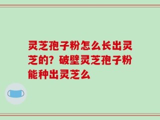 灵芝孢子粉怎么长出灵芝的？破壁灵芝孢子粉能种出灵芝么