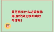 灵芝根有什么功效和作用(探究灵芝根的功效与作用)