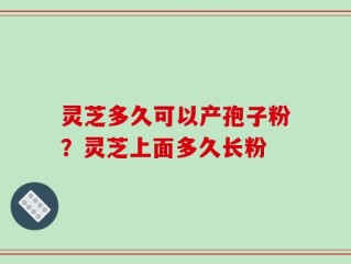 灵芝多久可以产孢子粉？灵芝上面多久长粉