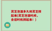 灵芝泡酒多久将灵芝捞起来(灵芝泡酒时间，合适时机捞起来！)