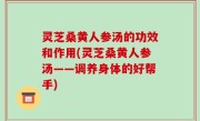 灵芝桑黄人参汤的功效和作用(灵芝桑黄人参汤——调养身体的好帮手)