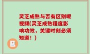 灵芝成熟与否有区别呢视频(灵芝成熟程度影响功效，关键时刻必须知道！)