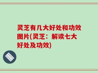 灵芝有几大好处和功效图片(灵芝：解读七大好处及功效)