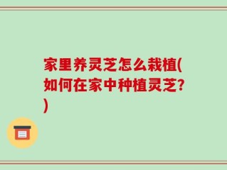 家里养灵芝怎么栽植(如何在家中种植灵芝？)