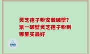 灵芝孢子粉安徽破壁？紫一破壁灵芝孢子粉到哪里买最好