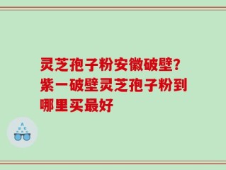 灵芝孢子粉安徽破壁？紫一破壁灵芝孢子粉到哪里买最好