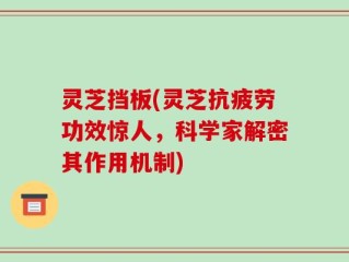 灵芝挡板(灵芝抗疲劳功效惊人，科学家解密其作用机制)