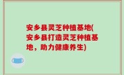 安乡县灵芝种植基地(安乡县打造灵芝种植基地，助力健康养生)