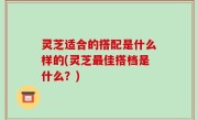 灵芝适合的搭配是什么样的(灵芝最佳搭档是什么？)