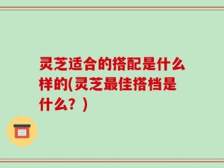灵芝适合的搭配是什么样的(灵芝最佳搭档是什么？)
