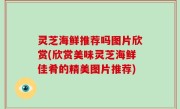 灵芝海鲜推荐吗图片欣赏(欣赏美味灵芝海鲜佳肴的精美图片推荐)