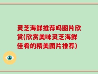 灵芝海鲜推荐吗图片欣赏(欣赏美味灵芝海鲜佳肴的精美图片推荐)