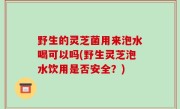 野生的灵芝菌用来泡水喝可以吗(野生灵芝泡水饮用是否安全？)