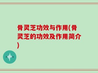 骨灵芝功效与作用(骨灵芝的功效及作用简介)