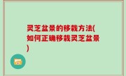 灵芝盆景的移栽方法(如何正确移栽灵芝盆景)