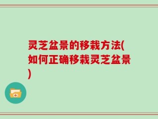 灵芝盆景的移栽方法(如何正确移栽灵芝盆景)