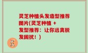 灵芝种植头发造型推荐图片(灵芝种植 + 发型推荐：让你远离脱发困扰！)