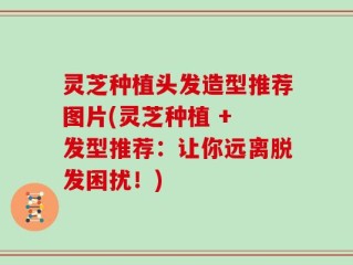 灵芝种植头发造型推荐图片(灵芝种植 + 发型推荐：让你远离脱发困扰！)