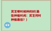 灵芝哪时候种的好(最佳种植时间：灵芝何时种植最佳？)